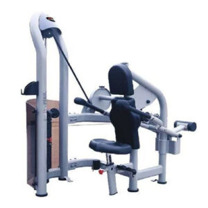 Tricep Dip Gym Machine